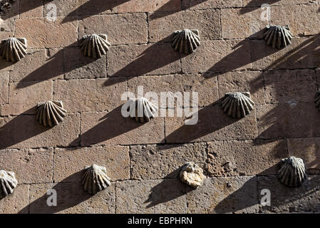 SALAMANCA, Spanien - 21. November 2014: Detail der Fassade der Casa de Las Conchas (Haus der Muscheln) Stockfoto