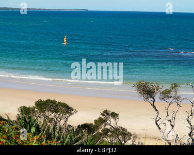 Minnie Water Beach in New South Wales, Australien Stockfoto