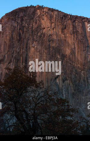 El Capitan. Yosemite Valley, Yosemite-Nationalpark, Mariposa County, Kalifornien, USA Stockfoto