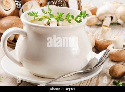 Champignon-Suppe und frischen Pilzen. Selektiven Fokus Stockfoto