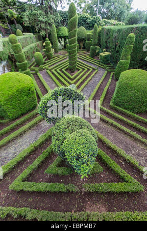 Ein Blick auf den Botanischen Garten Jardim Botanico Funchal, in der Stadt Funchal, Madeira, Portugal, Europa Stockfoto