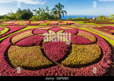 Ein Blick auf den Botanischen Garten Jardim Botanico Funchal, in der Stadt Funchal, Madeira, Portugal, Europa Stockfoto