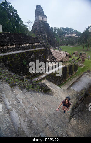 Frau beim Treppensteigen auf Maya-Ausgrabungsstätte, Tikal, UNESCO World Heritage Site, Guatemala, Mittelamerika Stockfoto