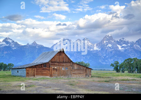 T. A. Moulton Homestead, Scheune, Mormon Row, Grand Teton National Park, Vereinigte Staaten von Amerika, Nordamerika Stockfoto