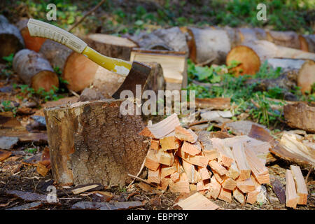 Kleine Axt oder Beil eingebettet in ein Holzscheit Hackklotz mit einem Haufen von kleinen Holz oder Reisig, Wales, UK Stockfoto