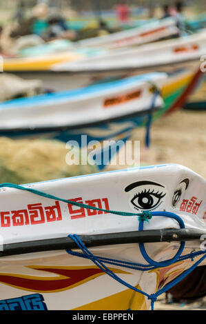 Bunten Fischerboote im Hafen von Negombo, Sri Lanka, Asien Stockfoto