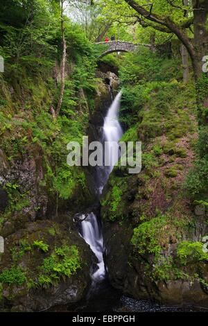 Aira Force, Ullswater, Nationalpark Lake District, Cumbria, England, Vereinigtes Königreich, Europa Stockfoto