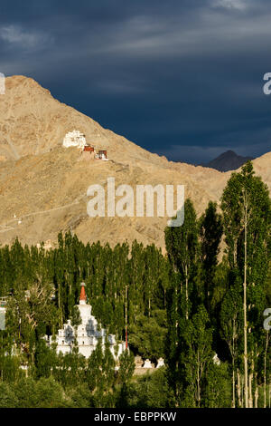 Stürmische Licht über das Namgyal Tsemos Fort und Kloster (Gompa), Leh, Ladakh, Indien, Asien Stockfoto