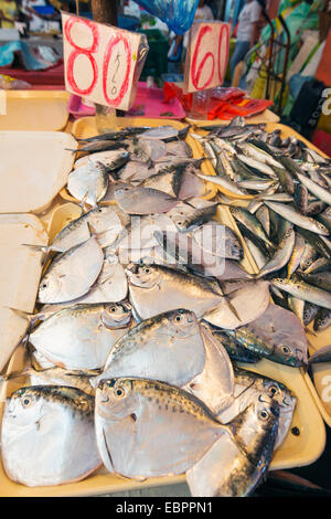 Fisch zum Verkauf auf dem öffentlichen Markt, Dumaguete, Cebu, die Visayas, Philippinen, Südostasien, Asien Stockfoto