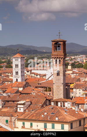 Die Dächer der Altstadt von Lucca, Toskana, Italien, Europa Stockfoto