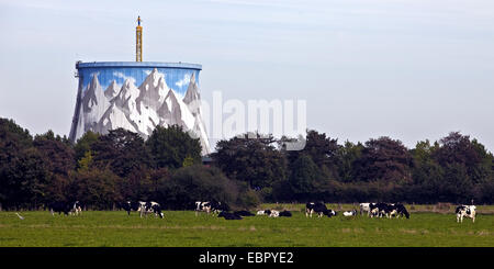 Kühe auf der Weide, bemalte Kühlturm Kalkar im Hintergrund, Germany, North Rhine-Westphalia, Kalkar Stockfoto