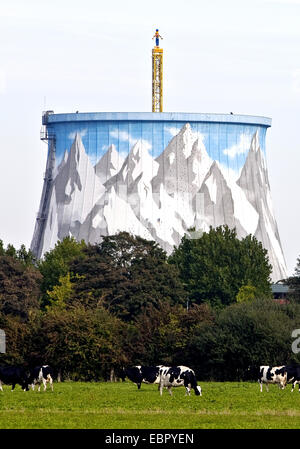 Kühe auf der Weide, bemalte Kühlturm Kalkar im Hintergrund, Germany, North Rhine-Westphalia, Kalkar Stockfoto