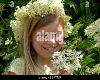 Europäischen schwarzen Holunder, Holunder, gemeinsame Holunder (Sambucus Nigra), Mädchen mit Holunderblüten koronalen, Deutschland Stockfoto