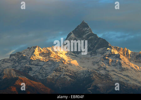 Blick zum Mount Machhapuchchhre, Fischschwanz, Nepal, Annapurna Himalaya Stockfoto