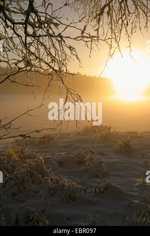 Winter Sonnenuntergang, Deutschland, Sachsen, Muldenberg Stockfoto