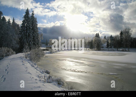 Winter in einen See, Deutschland, Sachsen, Muldenberg Stockfoto