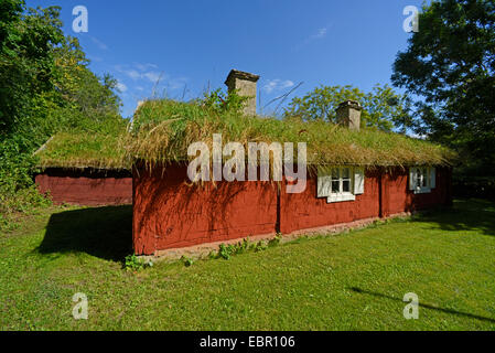 typisches Schwedenhaus auf Oeland, Schweden, Oeland Stockfoto