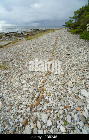 Kiesstrand am Färöer, Schweden, Gotland Stockfoto