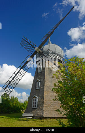 Windmühle auf Oeland, Schweden, Oeland Stockfoto