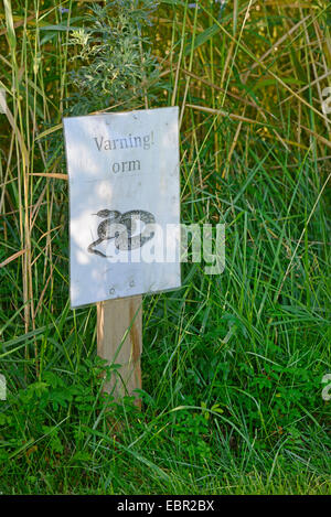 Addierer, gemeinsame Viper, gemeinsame europäische Viper, gemeinsame Viper (Vipera Berus), melden Sie sich an Schweden, Warnung vor Kreuzottern, Schweden, Smaland Stockfoto