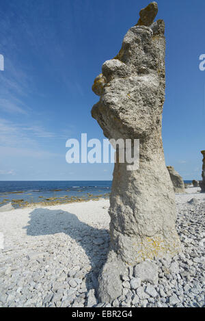 Raukar, Seastacks Langhammars, Schweden, Gotland, Färöer Stockfoto