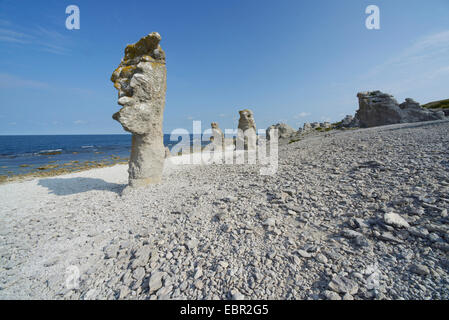 Raukar, Seastacks Langhammars, Schweden, Gotland, Färöer Stockfoto