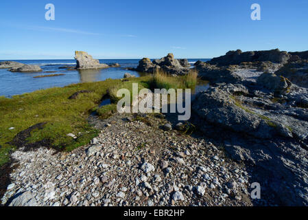 Kalkstein-Formationen an der Küste der Ostsee auf Gotland in Schweden, Schweden, Gotland Stockfoto