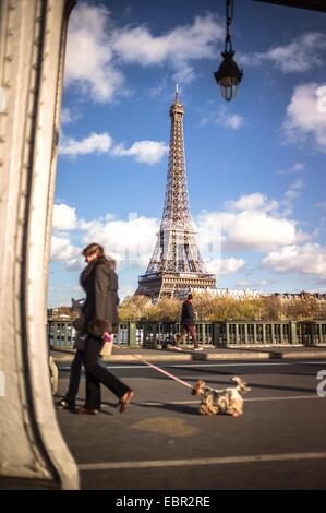 Der Eiffelturm, Paris im Herbst. 25.11.2012 - Sylvain Leser Stockfoto