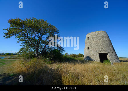 Ruinen einer historischen Windmühle auf Oeland, Schweden, Oeland Stockfoto