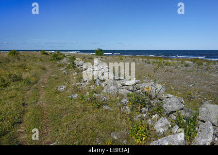 alten Trockensteinmauer in der Nähe von dem Strand Hoburgen auf Gotland, Schweden, Hoburgen, Gotland Stockfoto