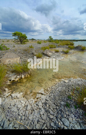 Teich in geschlossenen Steinbruch, Schweden, Nyrejsetrask, Gotland Stockfoto