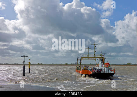 Fähre über die Weser in der Nähe von Sandstedt, Landkreis Cuxhaven, Brake, Landkreis Wesermarsch, Deutschland, Niedersachsen Stockfoto