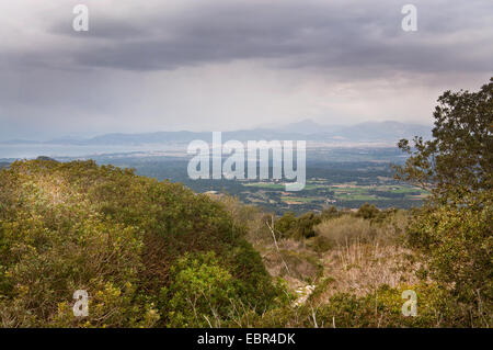 Nördlich von Randa, Mallorca, Balearen, Spanien anzeigen Stockfoto