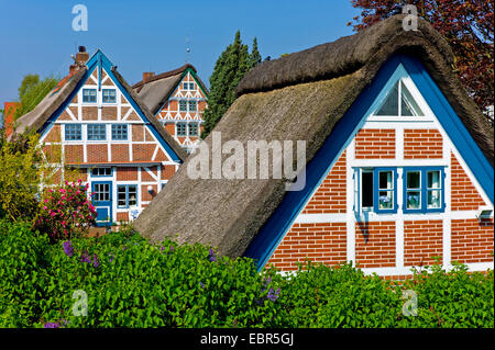 Altlaender-Bauernhaus in Luehe Gruenendeich, Deutschland, Niedersachsen Stockfoto