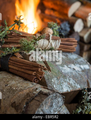 Bündel von Zimtstangen und Protokolle in Korb am Feuer Stockfoto