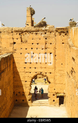 weißer Storch (Ciconia Ciconia), Störche nisten an den Wänden der Ruinen von El Badi Palast, Marokko, Marrakesch Stockfoto