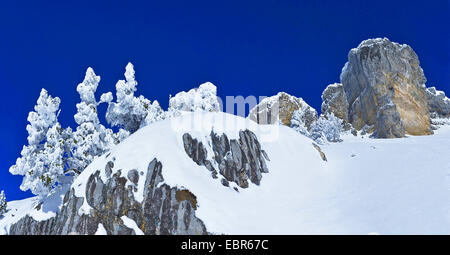 Gipfel in regionalen natürlichen Parks von Chartreuse, Frankreich, Isere, Grenoble Stockfoto