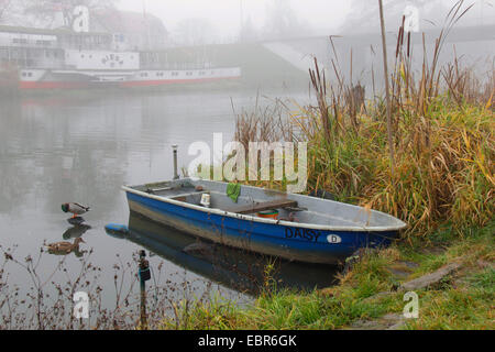 Ruderboot auf der Flussseite des Alte Oder, Raddampfer eines Museums im Hintergrund, Deutschland, Brandenburg, Oderbruch Oderberg Stockfoto