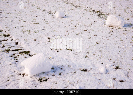 Schnee-Walze in einer verschneiten Maedow, Deutschland, Baden-Württemberg, Schwäbische Alb Stockfoto