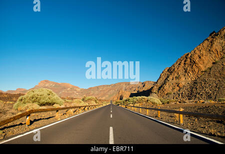 schnurgerade Straße im Teide-Nationalpark, Kanaren, Teneriffa, Teide-Nationalpark Stockfoto