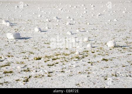 Schnee-Walze auf einer schneebedeckten Wiese, Deutschland, Baden-Württemberg, Schwäbische Alb Stockfoto