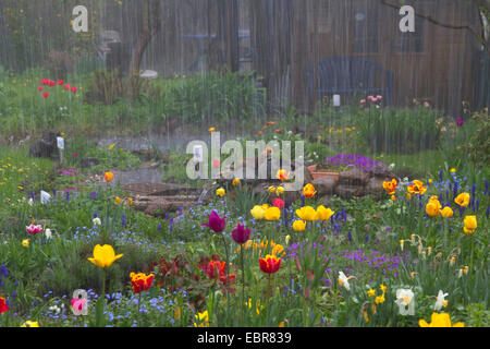 heftiger Schauer mit Hagel in einem Garten im Frühjahr, Deutschland Stockfoto