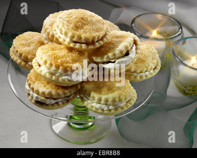 Mince pies Stockfoto