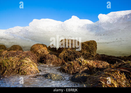 Eis auf den Strand, Norwegen Troms Stockfoto