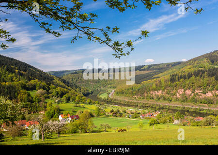 Blick auf das Neckartal in der Nähe von Pleutersbach im Frühjahr, Deutschland, Baden-Württemberg, Naturpark Neckartal-Odenwald Stockfoto