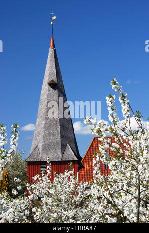 St.-Marien-Kirche und blühenden Obstbäumen, Deutschland, Niedersachsen, Hollern-Twielenfleth Stockfoto