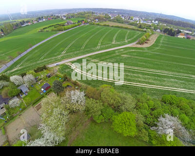 Luftaufnahme Feld Landschaft im Frühling, Witten, Ruhrgebiet, Nordrhein-Westfalen, Deutschland Stockfoto