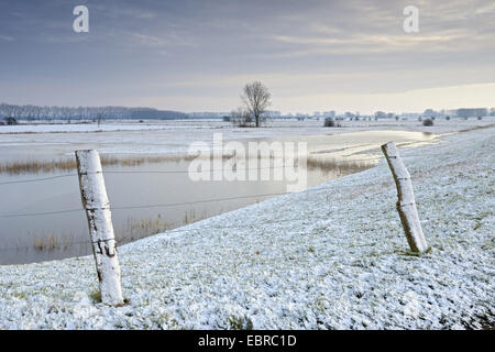 überflutete schneebedecktes Feld Landschaft des Niederrheins, Schenkenschanz, Niederrhein, Nordrhein-Westfalen, Deutschland Stockfoto