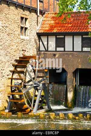Wassermühle am Fluss Stever in Luedinghausen, Germany, North Rhine-Westphalia, Luedinghausen Stockfoto