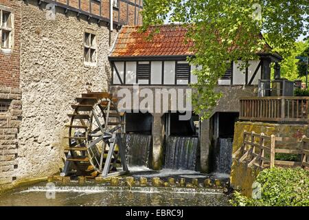 Wassermühle am Fluss Stever in Luedinghausen, Germany, North Rhine-Westphalia, Luedinghausen Stockfoto